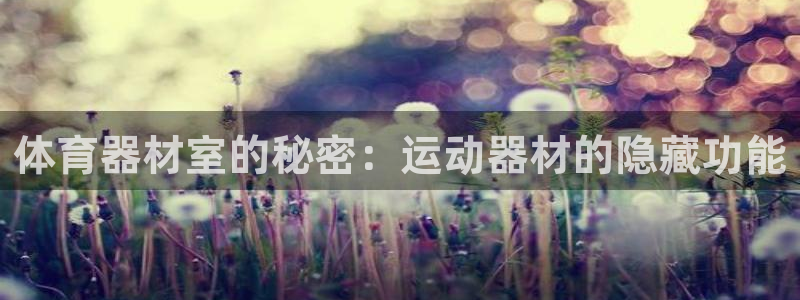 极悦平台登录不进去怎么回事呢:体育器材室的秘密:运动器材的隐