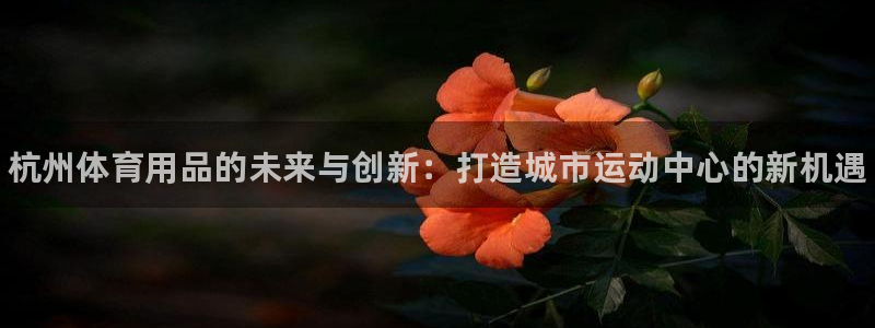 极悦平台是干什么的:杭州体育用品的未来与创新:打造城市运动中