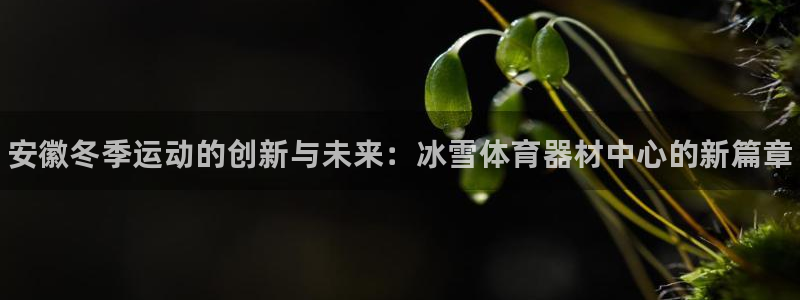 极悦官方网站入口:安徽冬季运动的创新与未来:冰雪体育器材中心